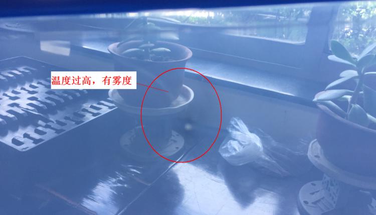 注塑制品质量缺陷分析（六）造成制品表面有雾度的主要原因是什么？